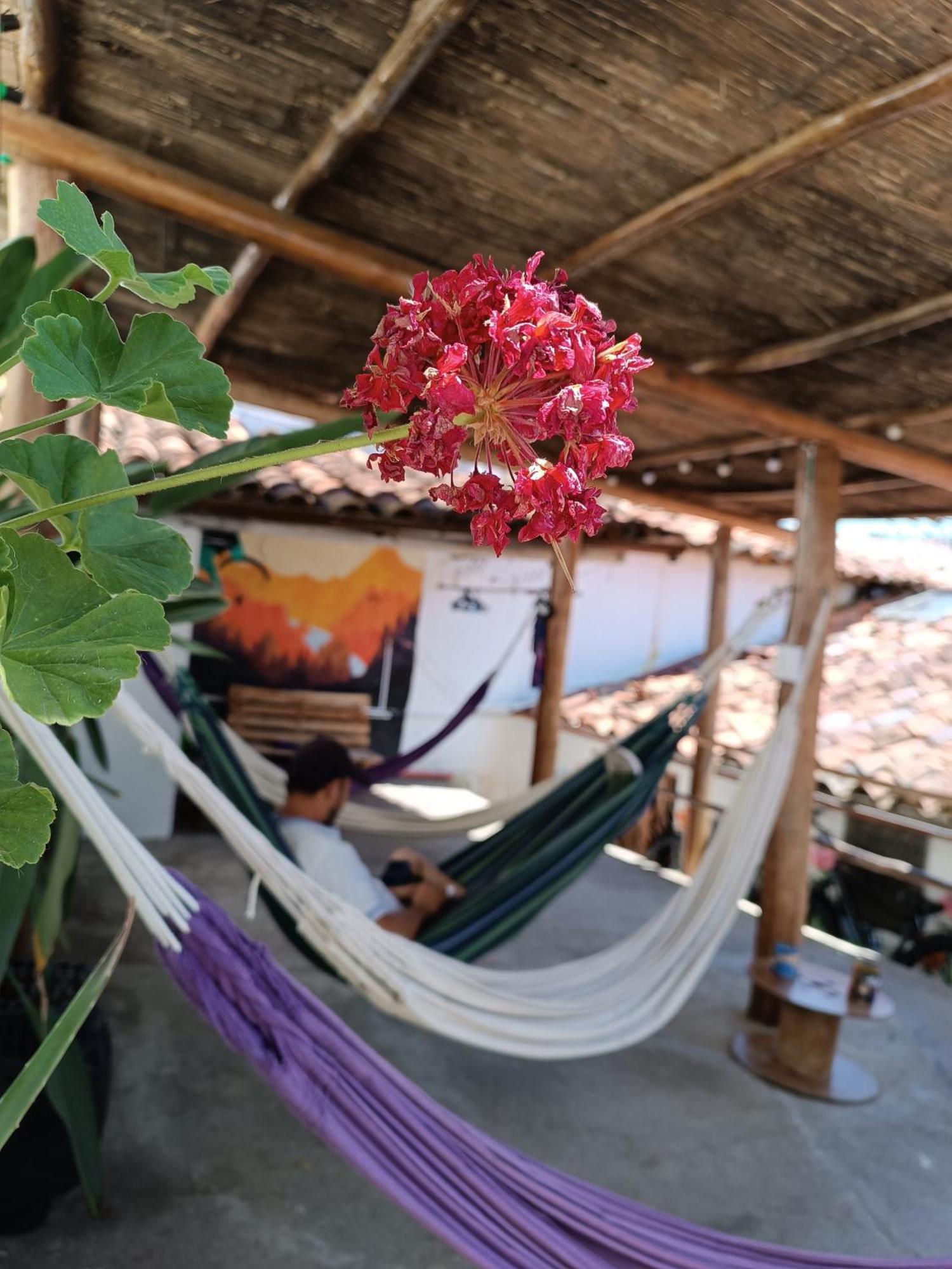 Adventure Guest house *